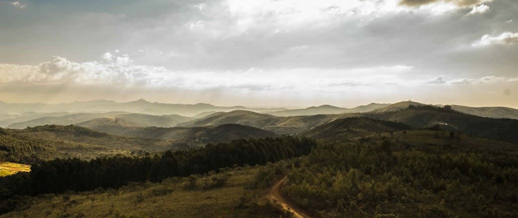 Sunshine in the Hills